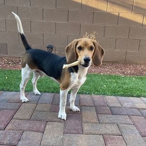 Meet your Posher, Tiffany